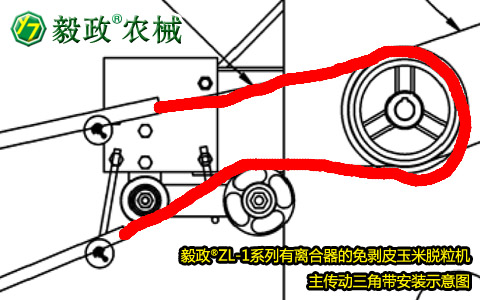 毅政牌ZL1系列有離合器的免剝皮玉米脫粒機(jī)，主傳動(dòng)三角帶正確安裝